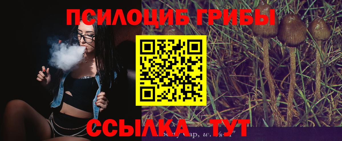 Оренбург  Галлюциногенные грибы GOLDEN TEACHER  Вход с VPN 